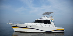 Piquis, Custom 46'