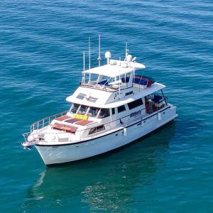Mer-Sea: All-Inclusive Yachts Puerto Vallarta Experience