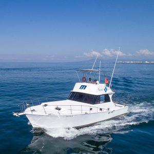 Puerto Vallarta Fishing Charter, Karina II boat