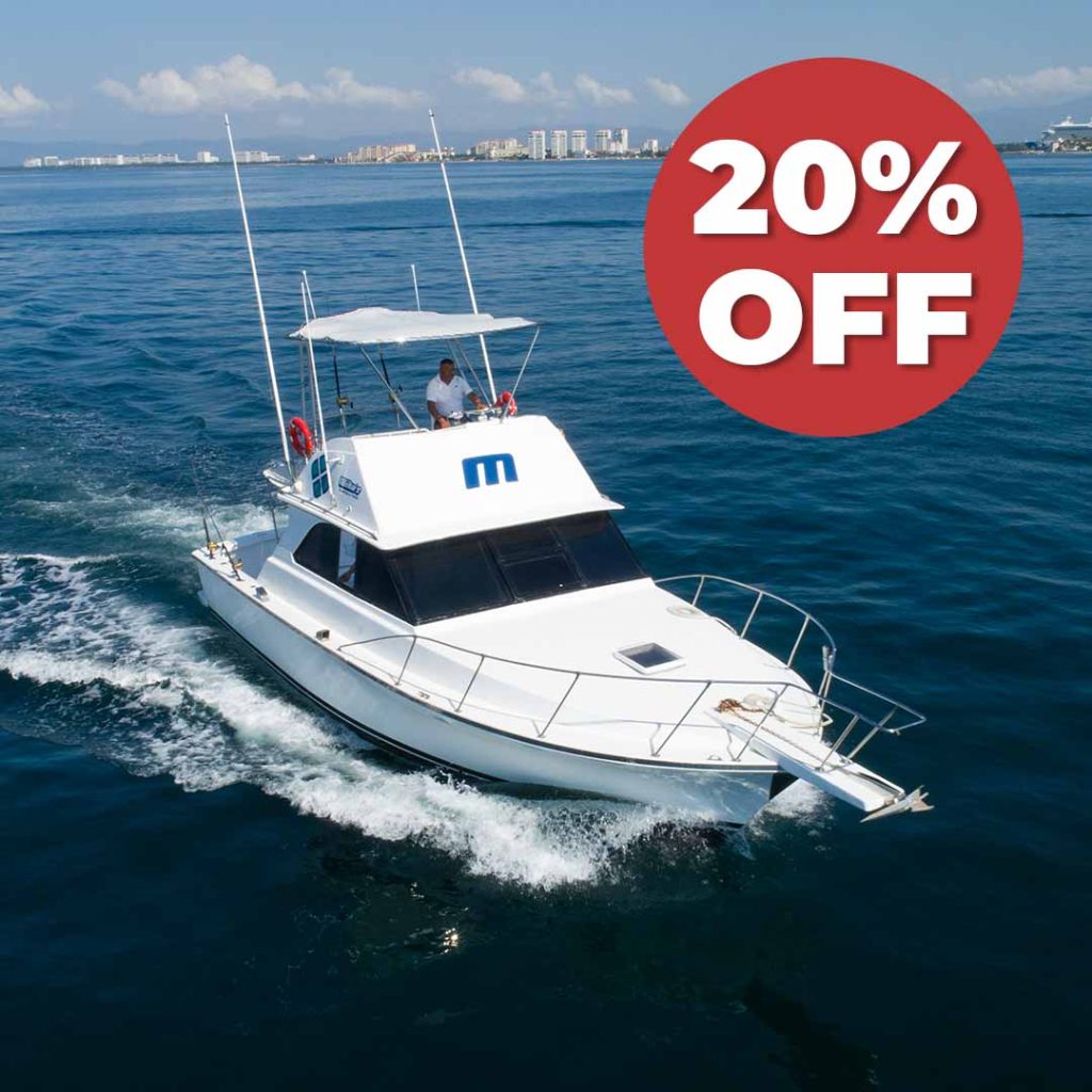 Nicole 38 ft Boat Charter In Puerto Vallarta