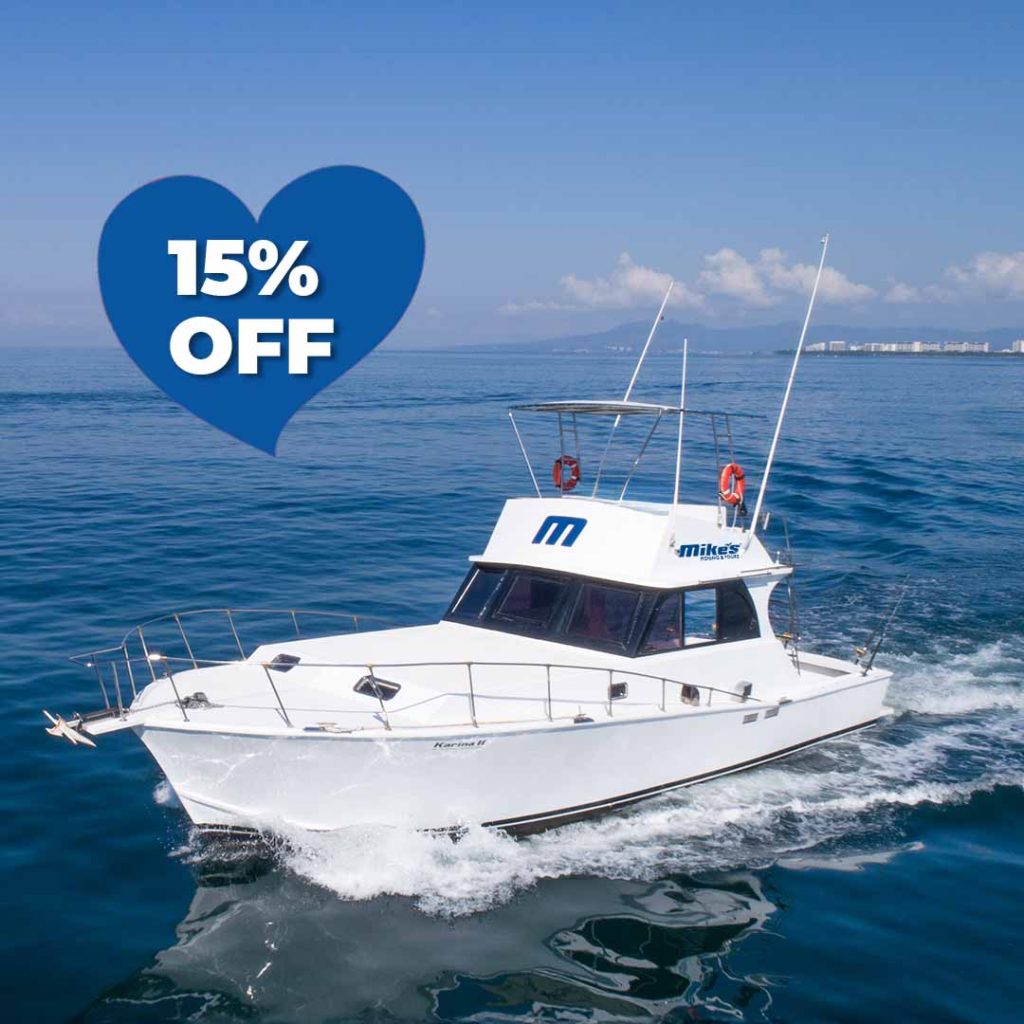 Karina II 42 ft Boat Charter in Puerto Vallarta - FEB 26