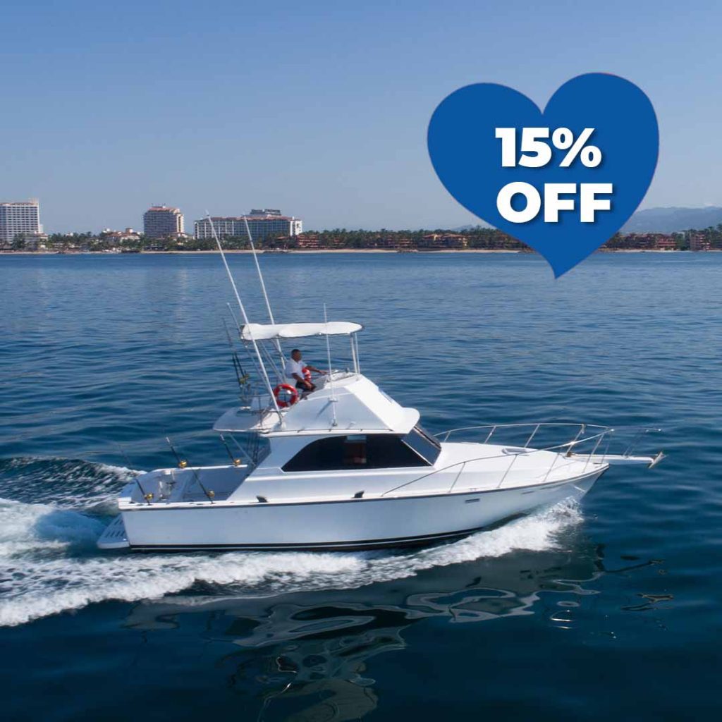 Nicole 38 ft Boat Charter In Puerto Vallarta - FEB 26