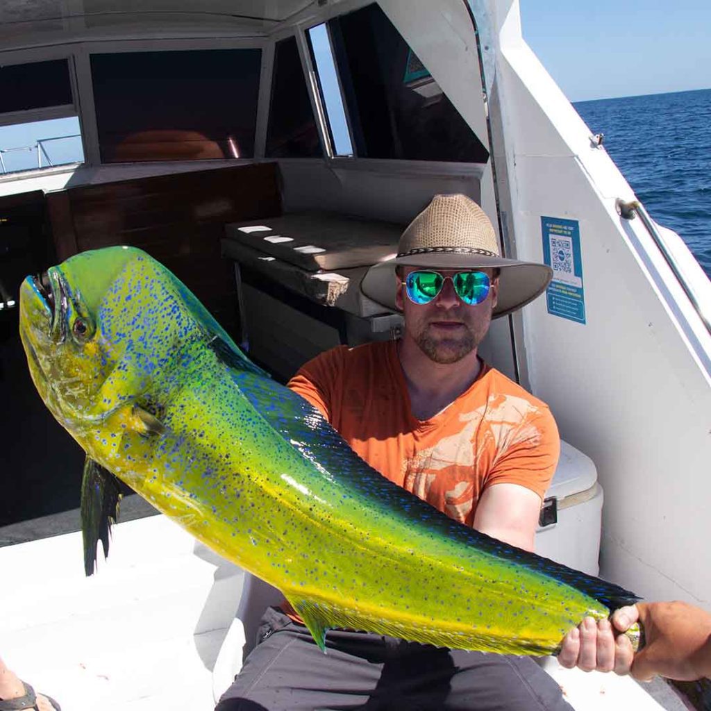 Puerto Vallarta offshore fishing charters