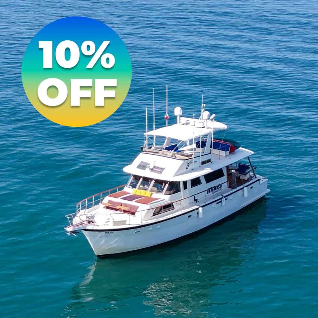 Mer-Sea: All-Inclusive Yachts Puerto Vallarta Experience - Summer 2025