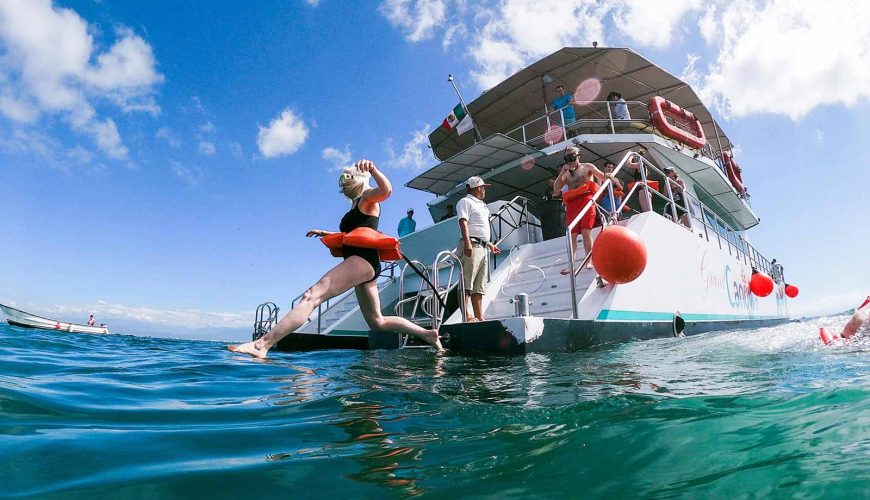 Half-Day Snorkeling Tour: An Aquatic Adventure in Los Arcos, Puerto Vallarta