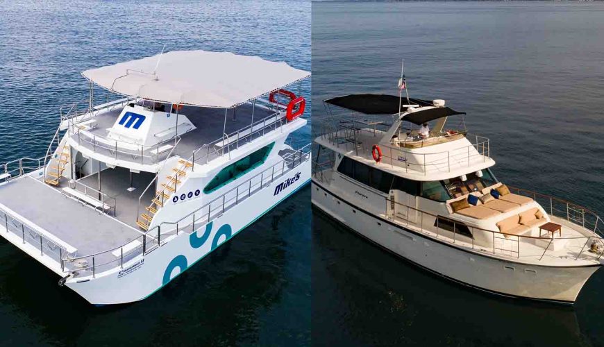 Sail Your Style in Puerto Vallarta: Classic Yacht Charm vs. Premium Catamaran Adventure