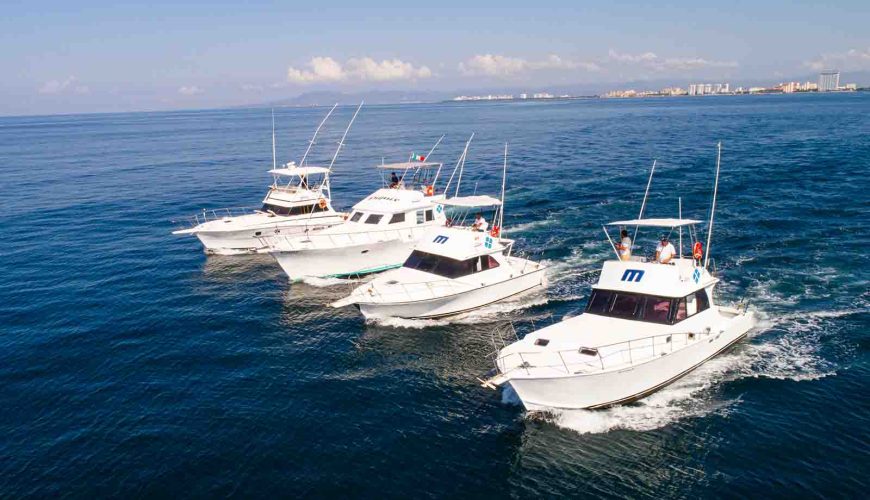Mastering the Catch: Your Guide to the Best Boats & Spots for a Premier Puerto Vallarta Fishing Charter