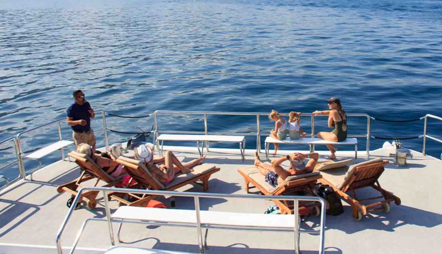 Sail in Style: Experience Ultimate Comfort with a Puerto Vallarta Catamaran Charter