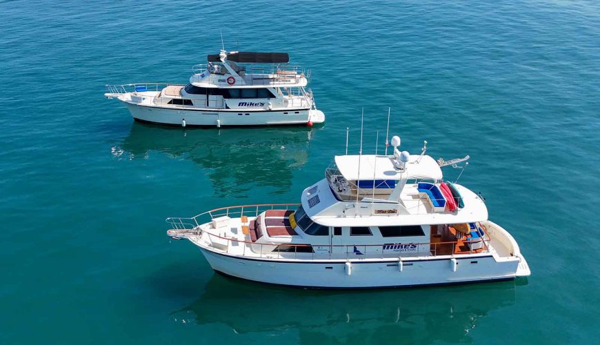Elevate Your Vacation: Private Yacht Charters in Puerto Vallarta