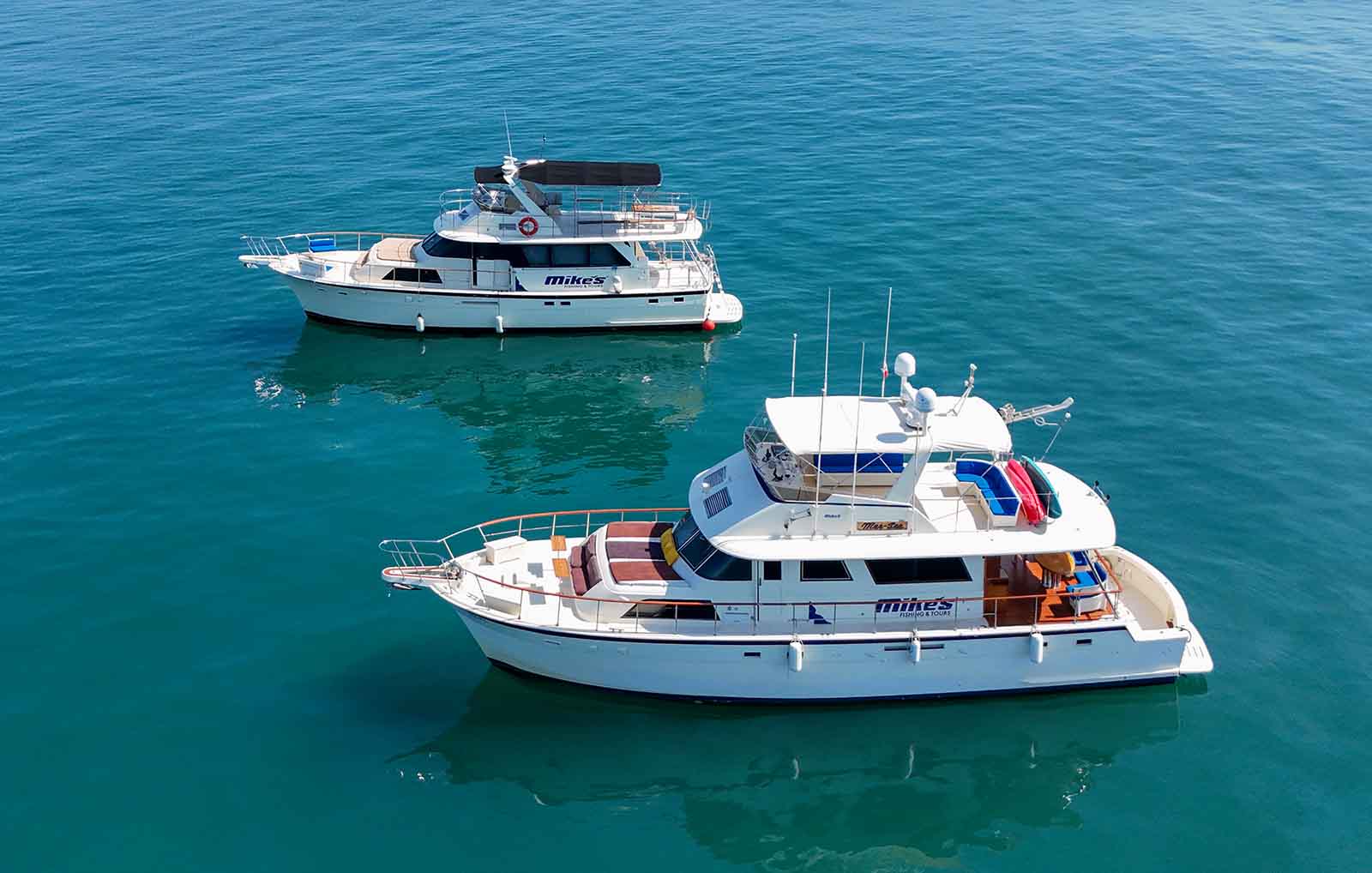 Elevate Your Vacation: Private Yacht Charters in Puerto Vallarta