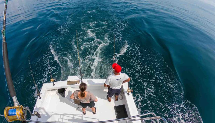 Puerto Vallarta’s Summer Fishing Heats Up: Your Guide to an Unforgettable Adventure