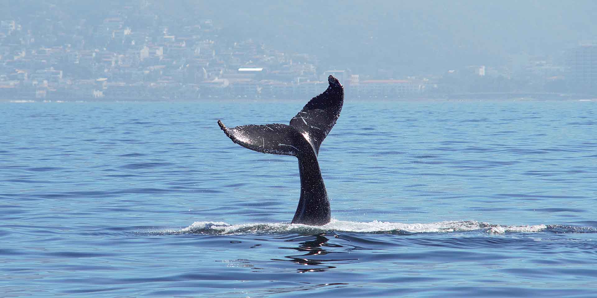 Puerto Vallarta Tours