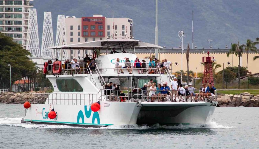 Whale Watching in Puerto Vallarta