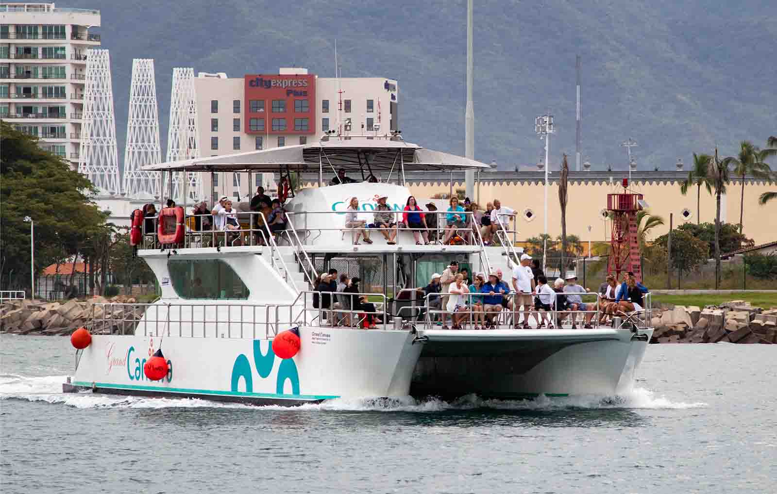 Whale Watching in Puerto Vallarta