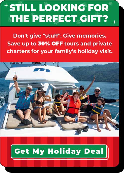 Puerto Vallarta Tours Christmas