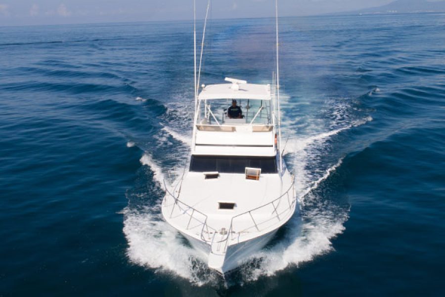 Isabella Fishing Boat In Puerto Vallarta Mini