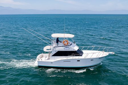 Isabella II Fishing Boat In Puerto Vallarta Mini
