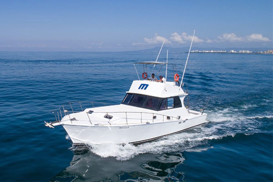 Karina II Boat Charter In Puerto Vallarta