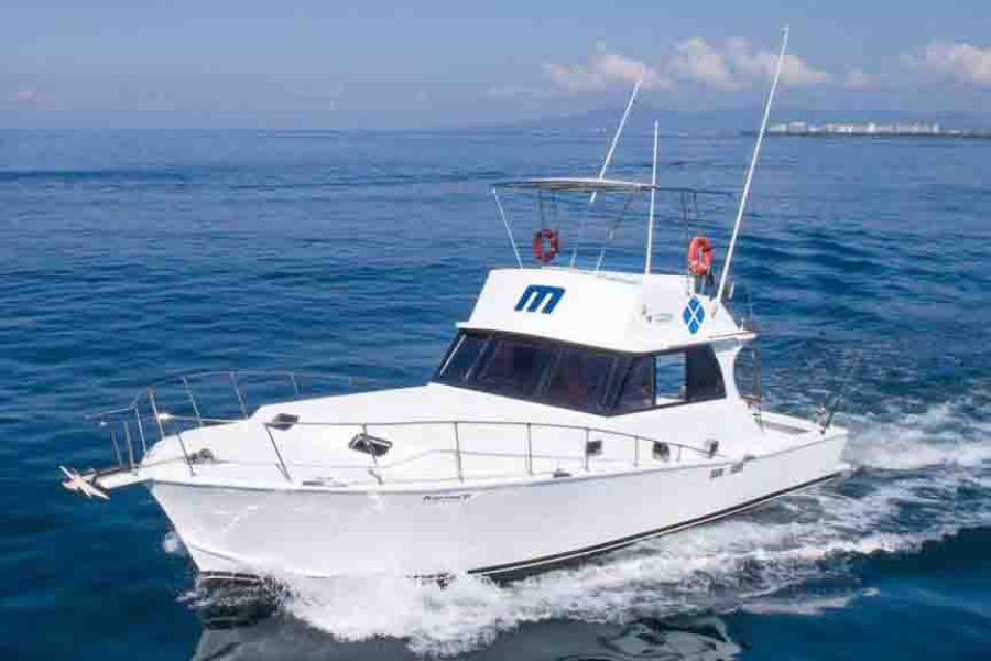 Karina II Boat Charter In Puerto Vallarta