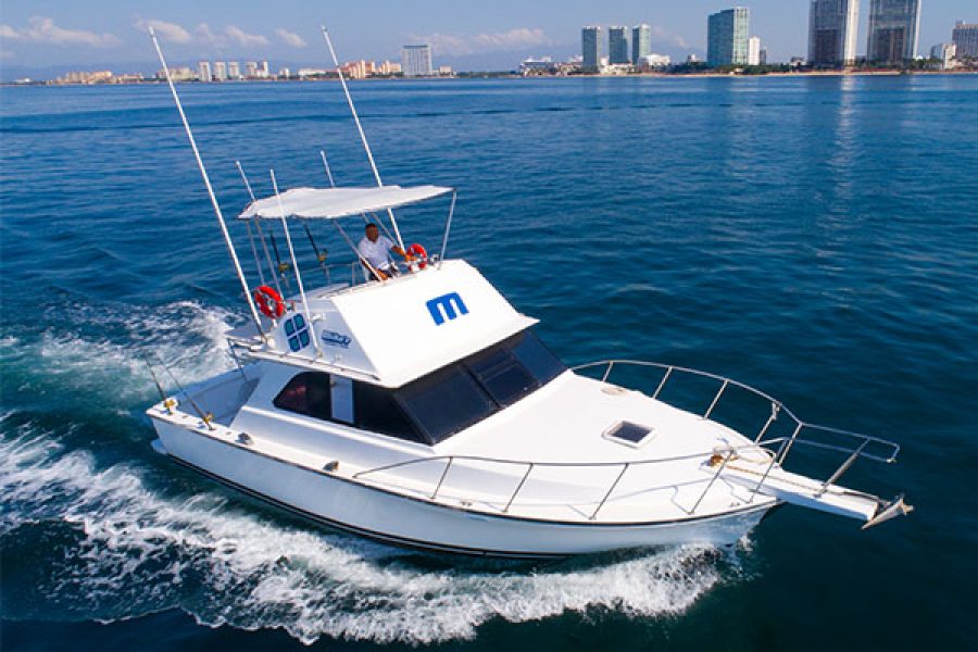 Nicolle Boat Charter in Puerto Vallarta Mini