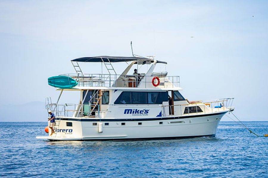 The Florero Yacht Charter Puerto Vallarta Mini