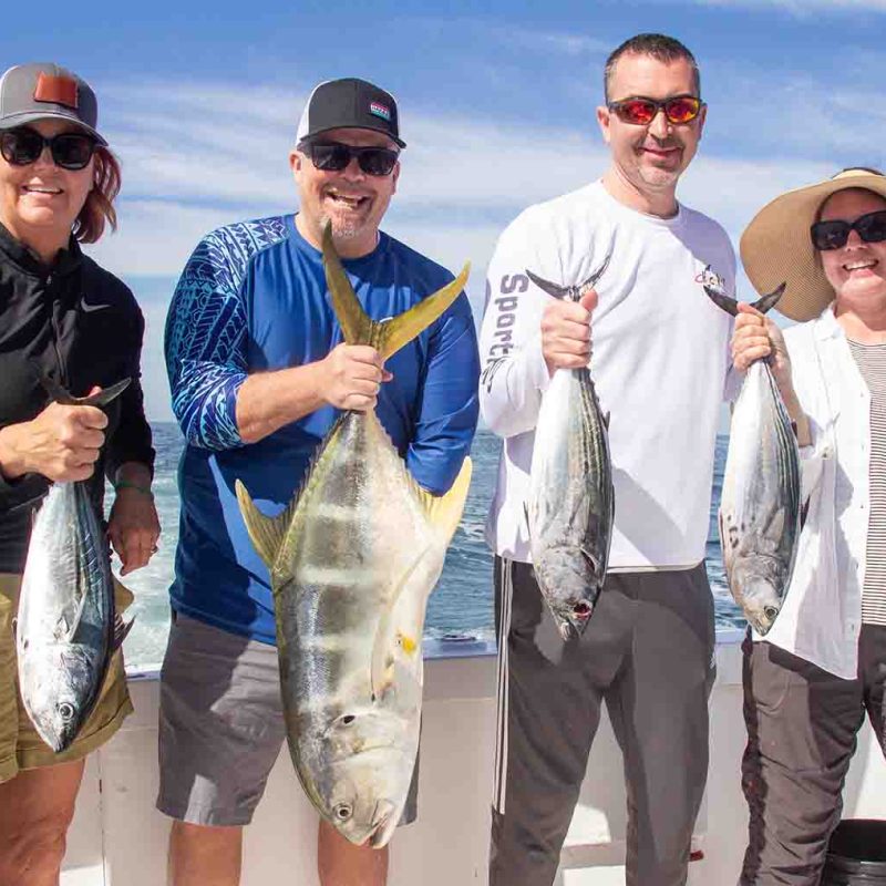 Articulo 3 - Destacada