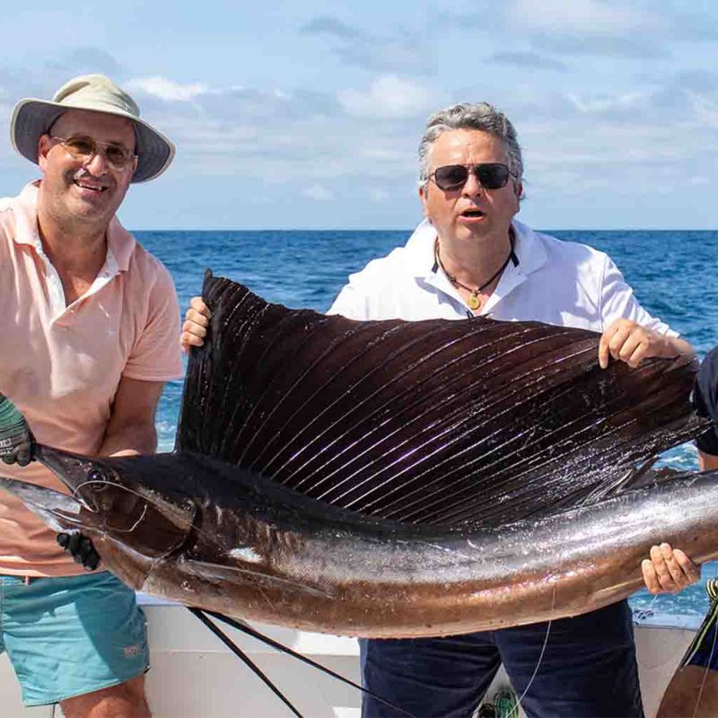 Articulo 9 - Destacada